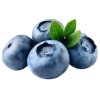 blueberry-img